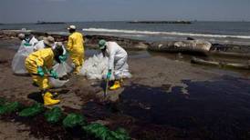 Once años después del derrame de 4 millones de barriles de petróleo, la vida marina del Golfo de México sigue sufriendo el impacto