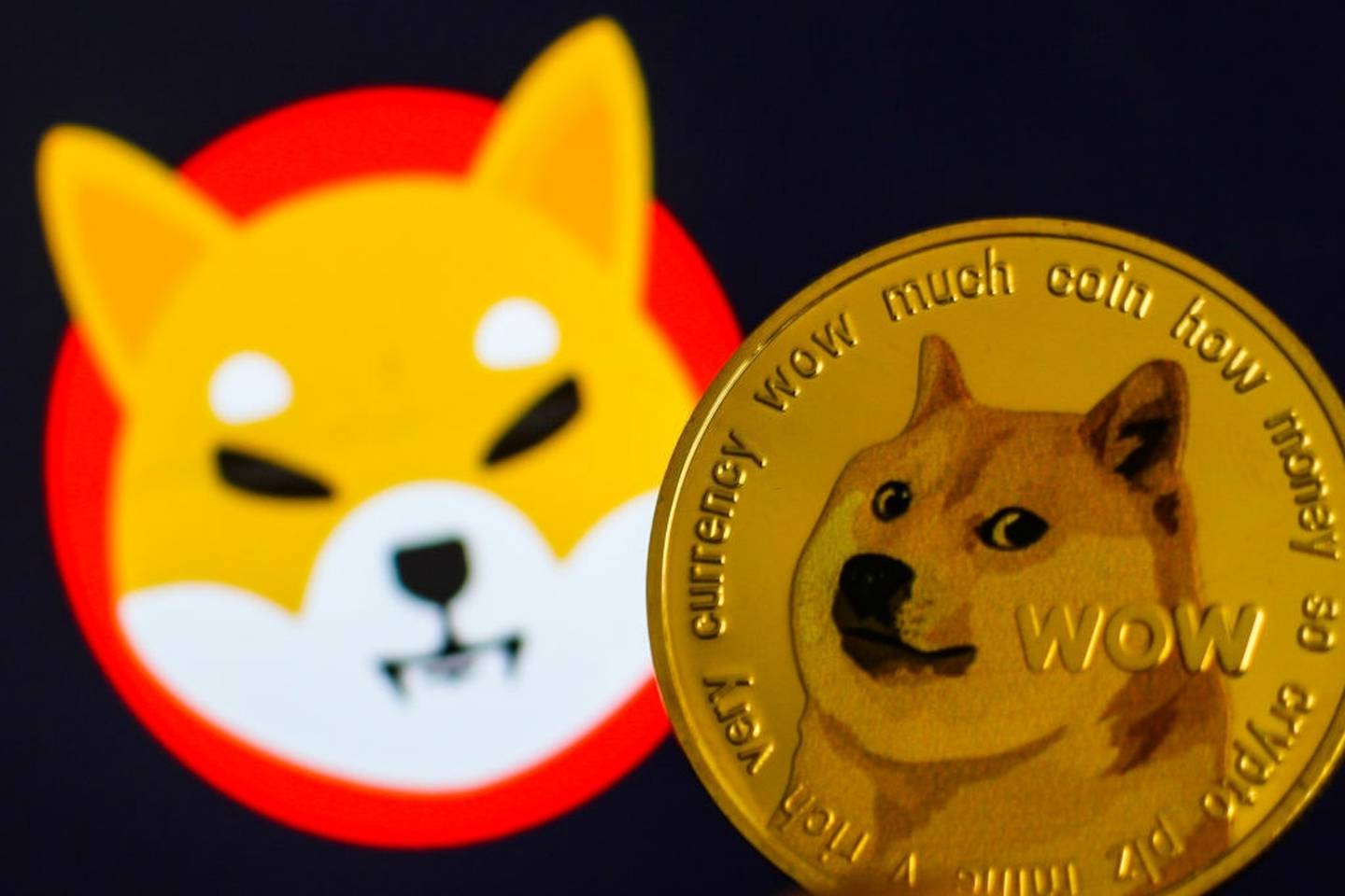 Shiba Inu y Doge Coin