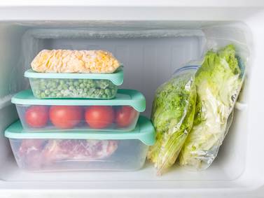 Aprende a congelar tus alimentos y evita que se desperdicien