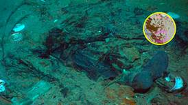 Estados Unidos detectó una implosión submarina el día que desapareció el Titan