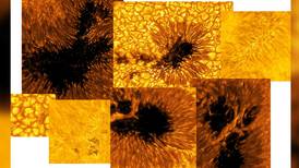 Nuevas imágenes sin precedentes revelan lo que está sucediendo en el sol a medida que se acerca al ‘máximo solar’