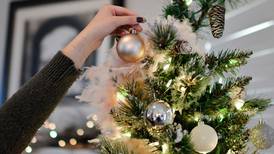 El árbol de Navidad perfecto sí existe: Esta fórmula matemática secreta te ayudará a lograrlo