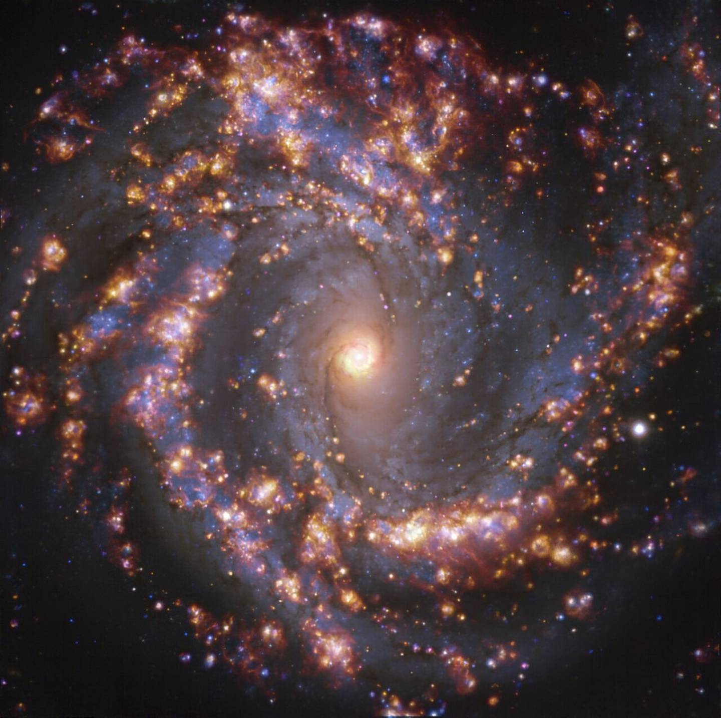 Spiral galaxy NGC 4303. ALMA (VLT, ESO)