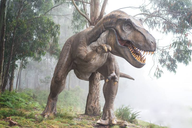 Tiranosaurios Rex