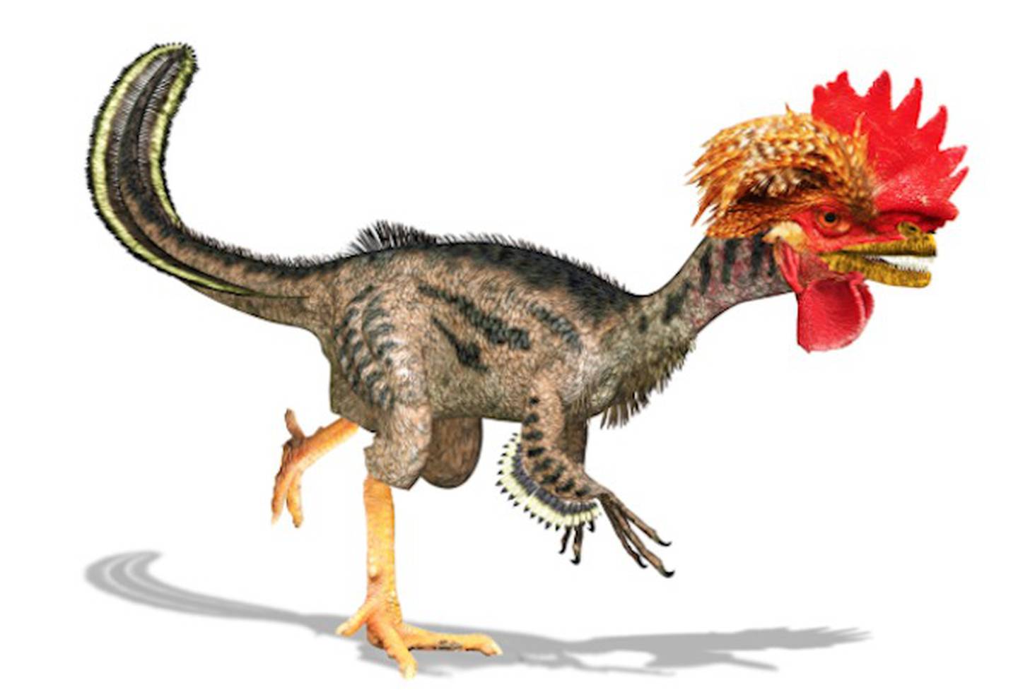 Ближайший родственник динозавра. Джек Хорнер Курозавр. Курица потомок динозавров. Тираннозавр предок курицы. Динозавр прародитель курицы.