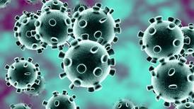 Coronavirus: primer caso de la enfermedad ha sido confirmado en México