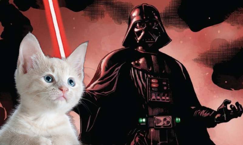 Los gatitos convertidos en personajes de Star Wars