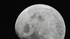 ¿Pondrán un huerto? Los astronautas de Artemis III llevarán plantas a la Luna