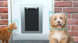 Petvation, la puerta para mascotas que usa reconocimiento facial para dejar pasar solo a tu perro o gato