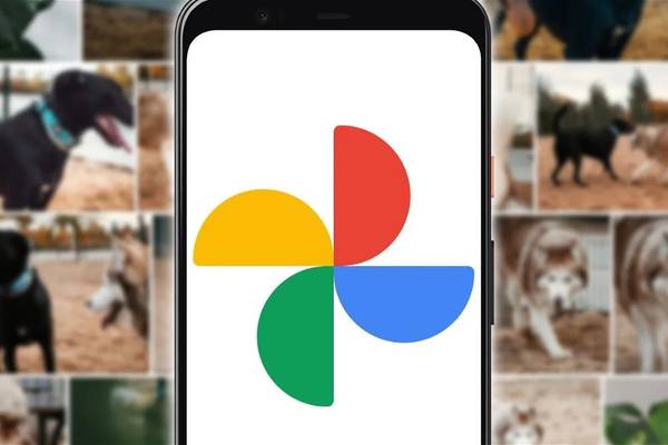 ¡Al fin! La herramientas de inteligencia artificial de Google Fotos estarán disponibles de forma gratuita