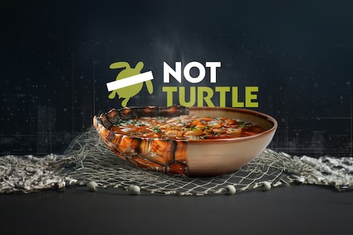 La IA ayudó a crear la primera sopa de tortugas sin matarlas