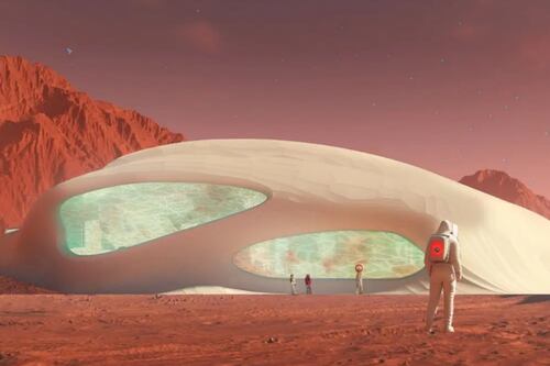 Hongos habitables | La loca pero innovadora propuesta de la NASA y Redhouse para vivir en Marte