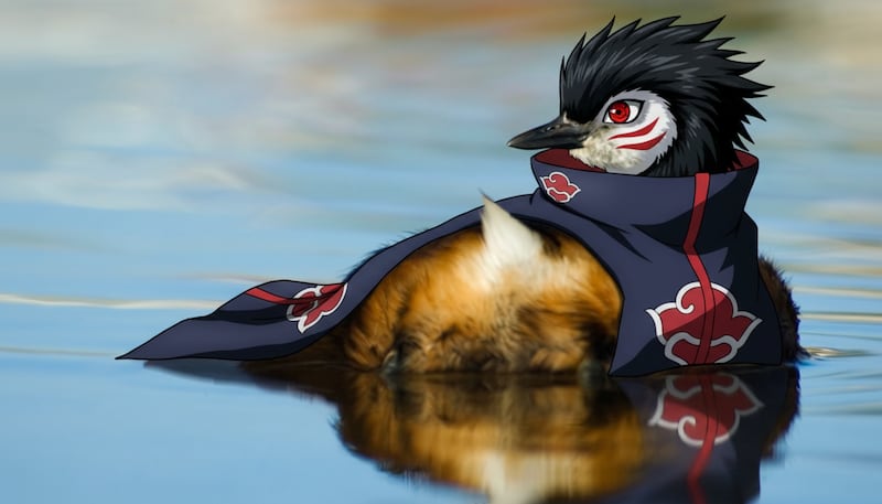 Ojo Sharingan - Rollandia rolland