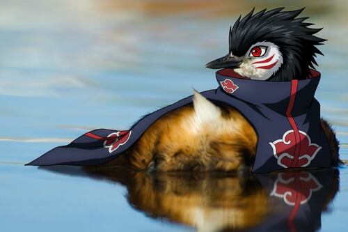 ¿El legado de Itachi? El ave sudamericana que posee el Mangekyō Sharingan en la vida real