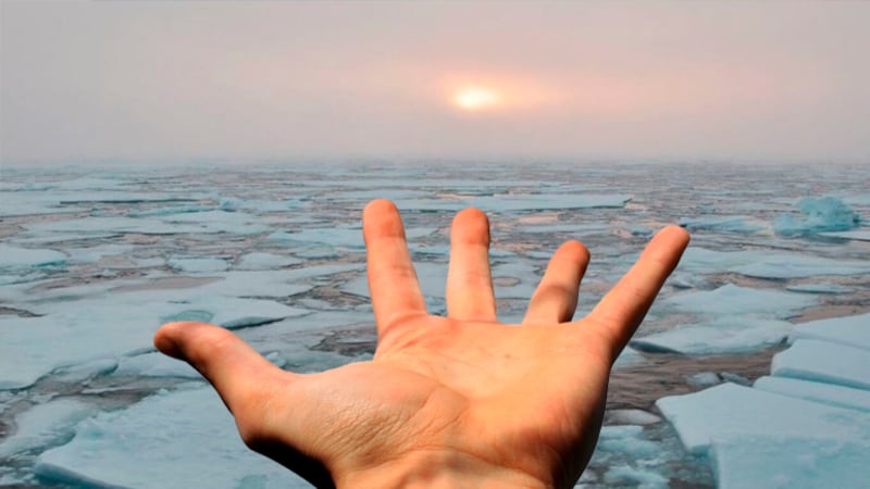 Un grupo de científicos chinos ha creado una piel electrónica (e-skin) que resiste temperaturas de hasta -78° C.