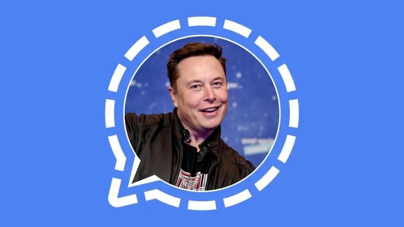 Signal - Elon Musk | Composición