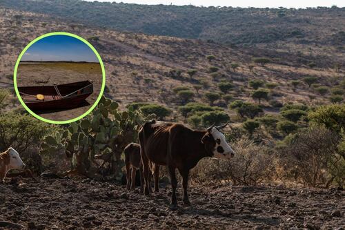 La IA se alza como el arma secreta contra el cambio climático: ¿Puede la inteligencia artificial “predecir” sequías?