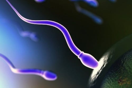 La IA consigue el primer embarazo en un caso de infertilidad masculina sin cirugía invasiva