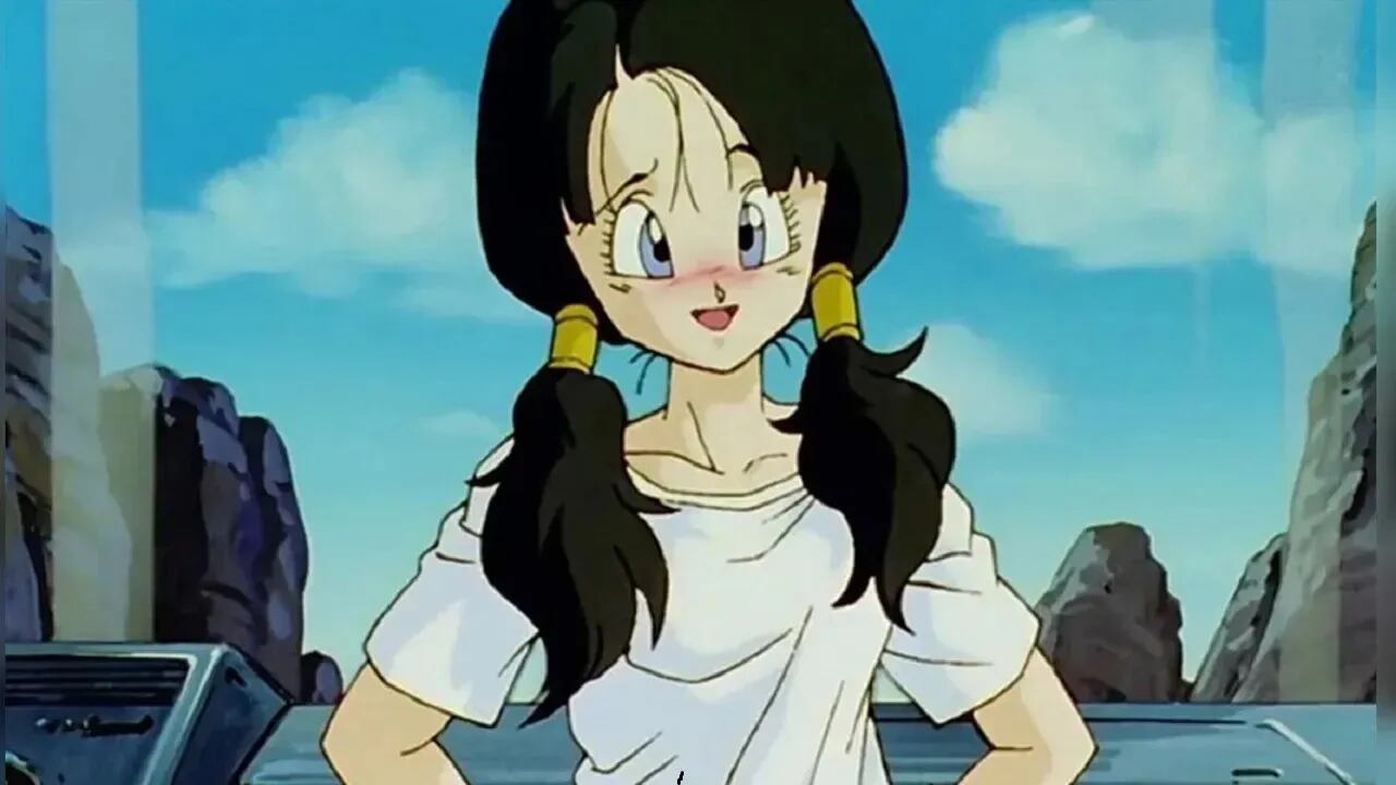 Videl Dragon Ball Z.