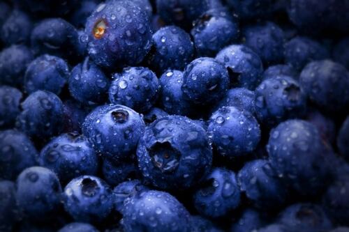 Científicos revelan el secreto mejor guardado de los arándanos: ¿Por qué se ven azules si en realidad son rojos?