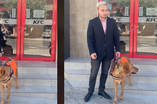 KFC se pronuncia tras el video viral donde no dejaron entrar a Andy con su perro de asistencia, Kenshi 