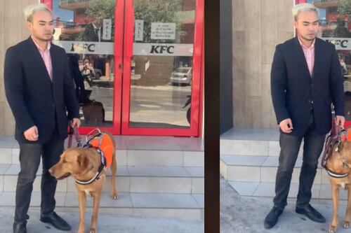 KFC se pronuncia tras el video viral donde no dejaron entrar a Andy con su perro de asistencia, Kenshi