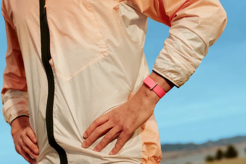 Fitbit Air - Google