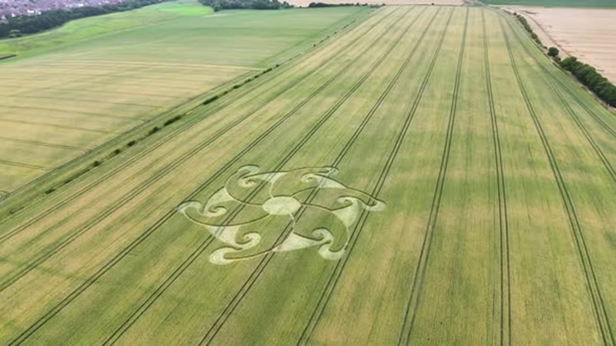 Cultivos en Wiltshire