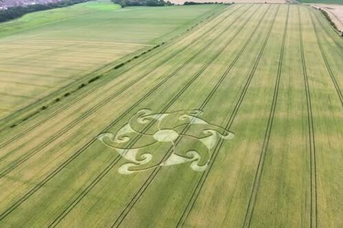 Crece el misterio en Inglaterra por los extraños círculos que aparecen dibujados en los cultivos
