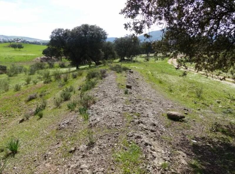 Parte de la vía Corduba-Emerita en el municipio cordobés de Espiel - crédito Universidad de Córdoba