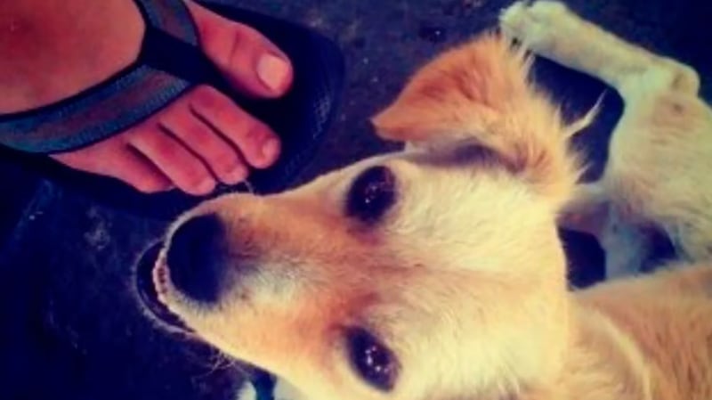 Esta es la primera foto publicada en Instagram