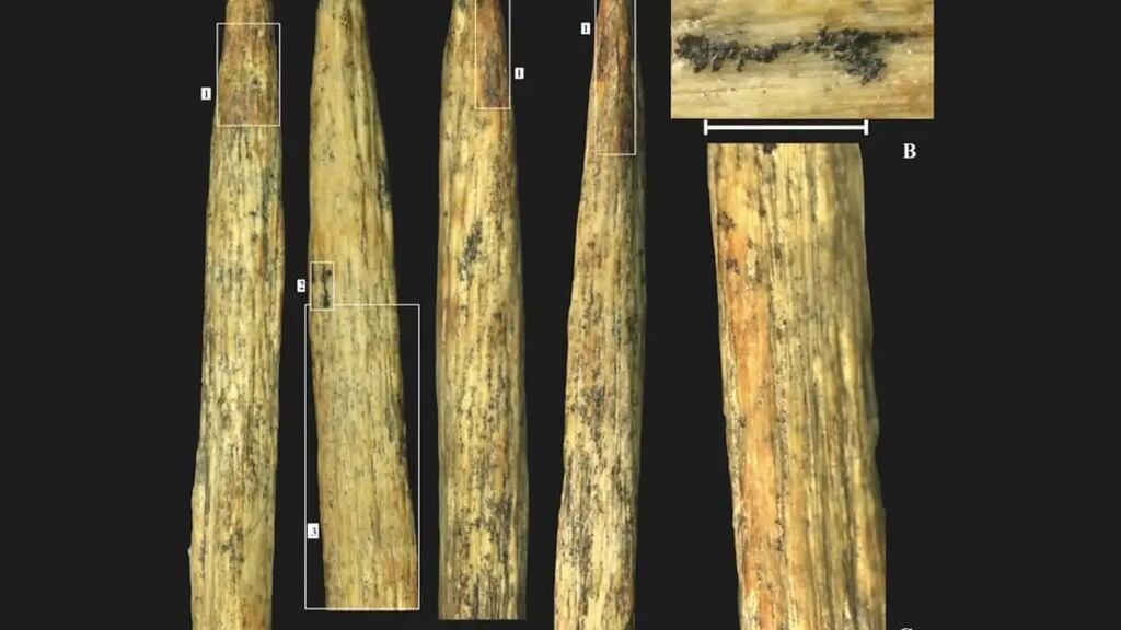 Punta de lanza de los Neandertales