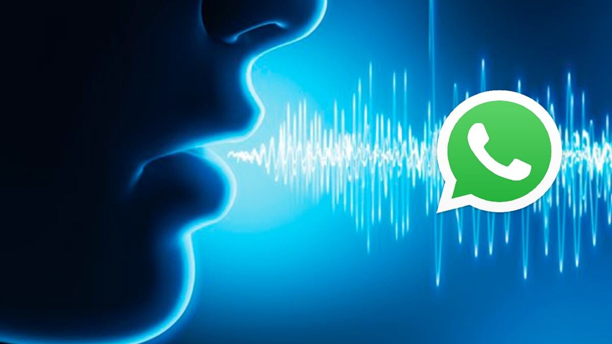 Voz IA WhatsApp
