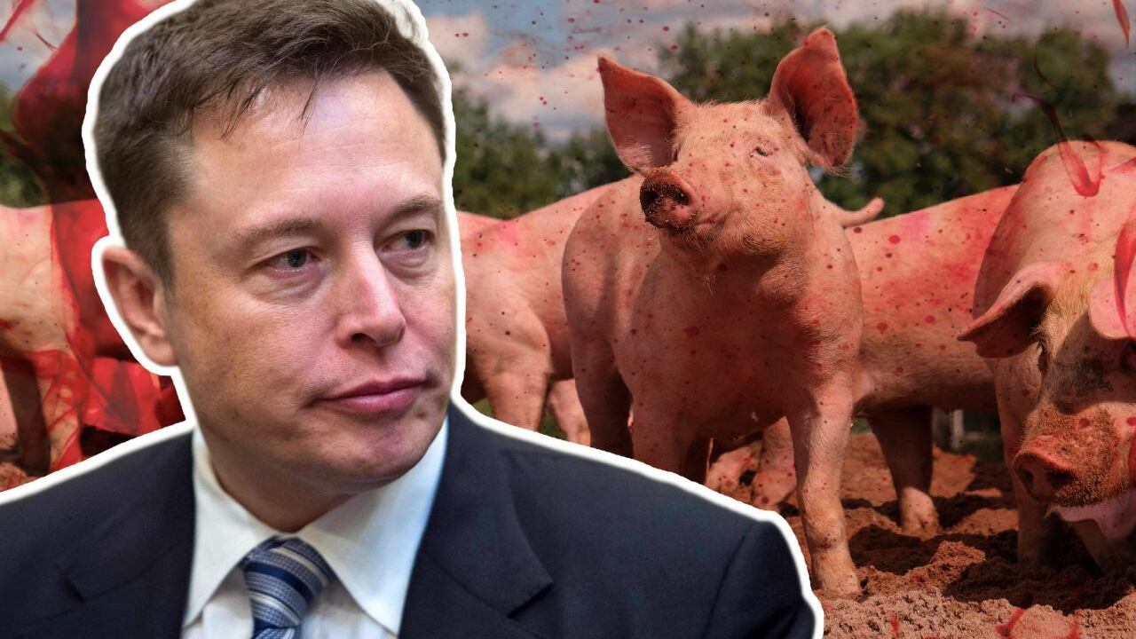 Composición: Kiko Perozo