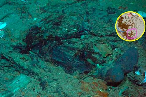 Estados Unidos detectó una implosión submarina el día que desapareció el Titan