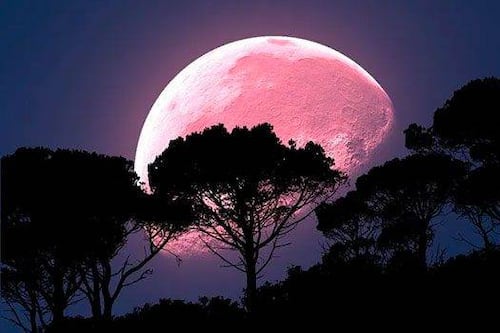 Video: El profesor José Maza  explica por qué a este eclipse de Luna se le conoce como “Luna Roja”