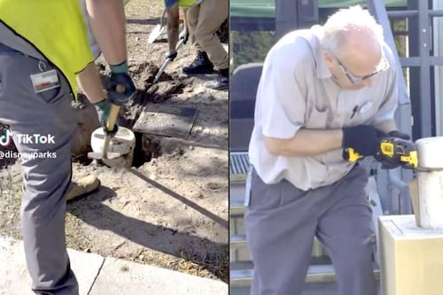 ¡Una reliquia! Esto había en la cápsula del tiempo en Disney que fue desenterrada