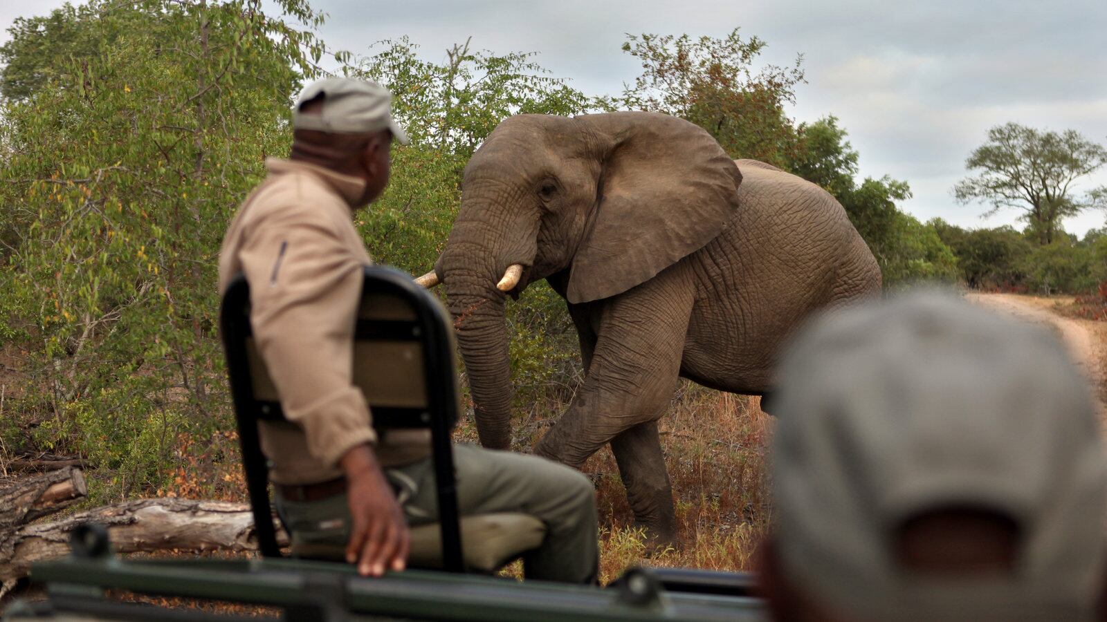 Foto del NY Times