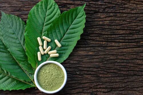 La OMS mantiene bajo vigilancia esta planta ideal para el dolor