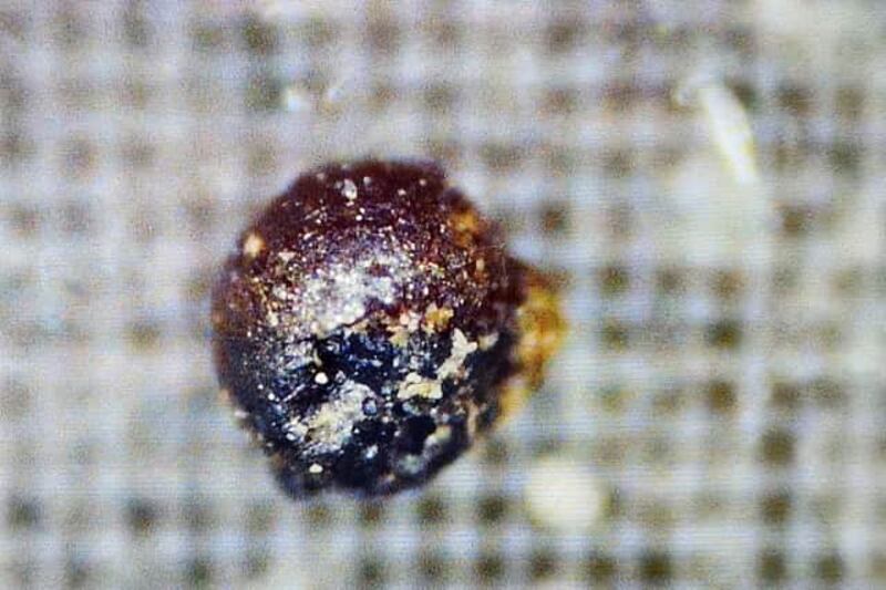 El controvertido físico de Harvard Avi Loeb afirma encontrar restos de un meteorito que sería ajeno a nuestro sistema solar y abre el debate sobre aliens.