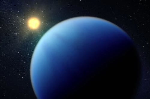 Este es el tamaño del exoplaneta que descubrieron que alberga vida, comparado con la Tierra: imaginen un mundo así