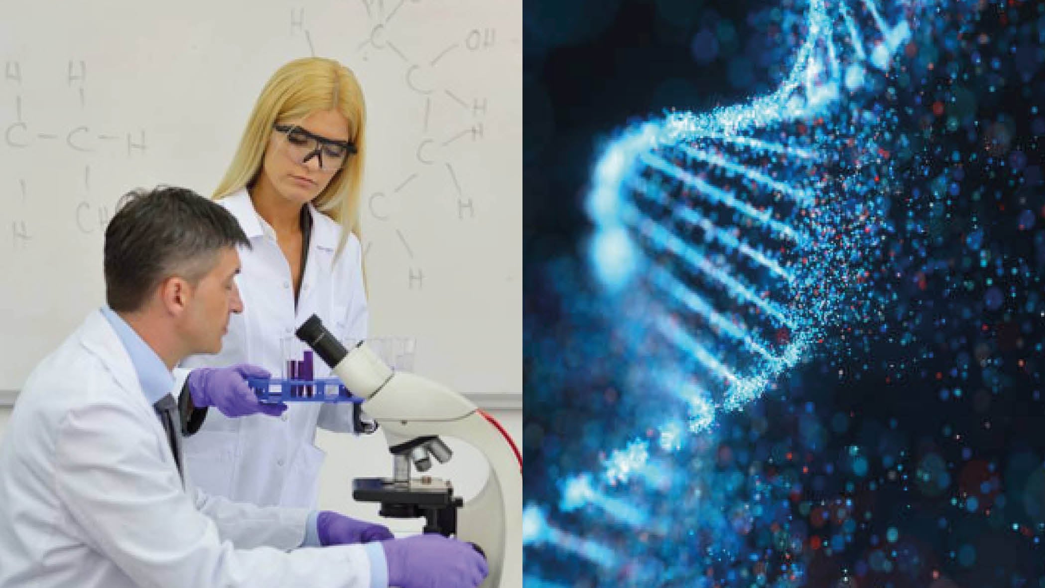 Nuevo hallazgo del ADN humano asombra a los científicos y puede ayudar en la lucha contra el cáncer