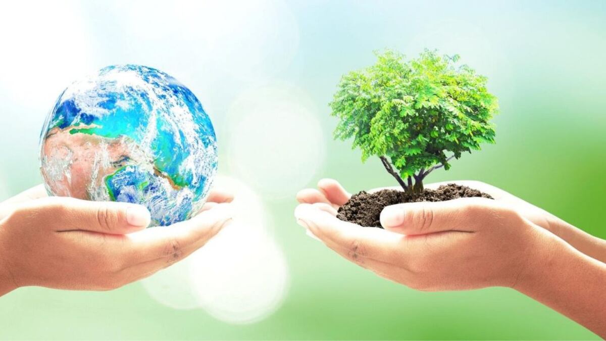 Festival ecológico.