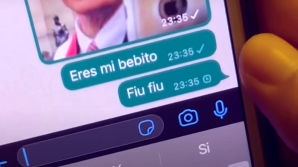 Mi bebito fiu fiu