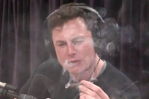 Elon Musk niega uso de drogas ilegales aunque las acusaciones persisten