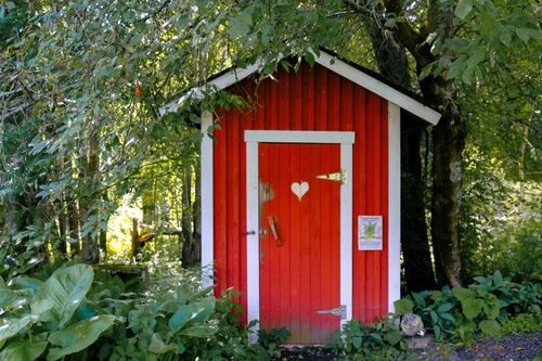 Baños secos: la propuesta de expertos para cuidar la salud y ahorrar el uso de agua