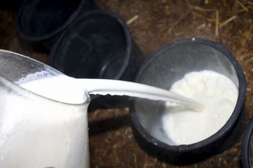 La gente le echa ¡mucha crema a sus tacos!, su consumo supera el de la leche