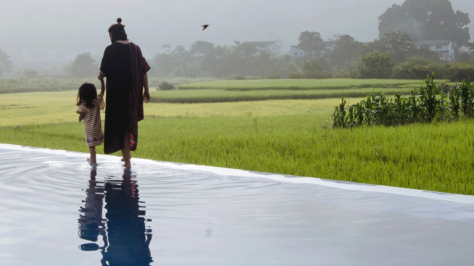 Fotografía genérica