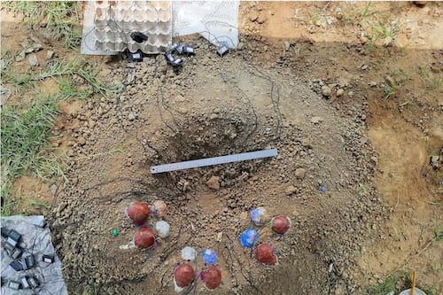 Científicos recrean un nido de dinosaurios y resuelven un misterio de 70 millones de años