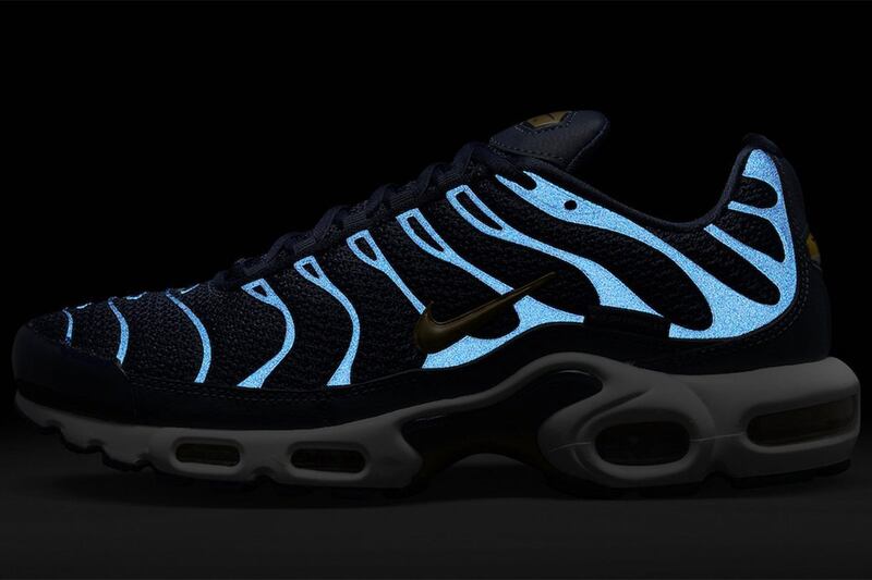 Nike Air Max Plus Francia